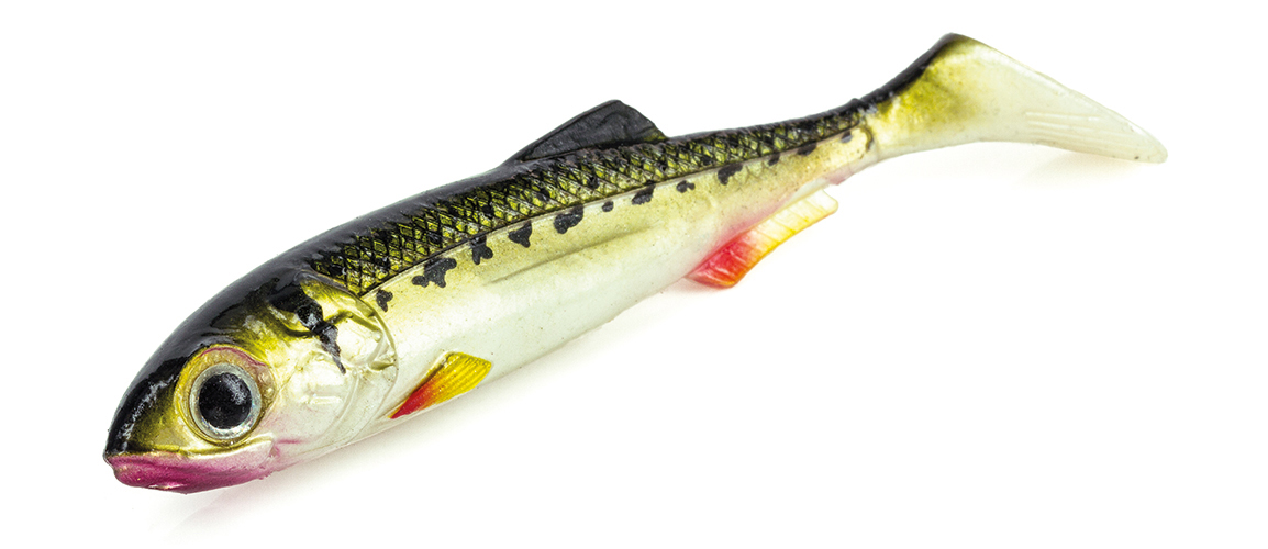 MOLIX REAL THING SHAD VAIRONE FROM PREDATOR TACKLE.jpg Molix RT Shad 3.5 inch Lures